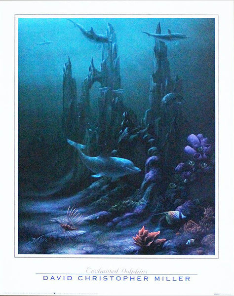 "Enchanted Dolphin" Poster - 16" x 20"
