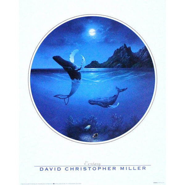 "Ecstasy" Humpback Whale Poster - 16" x 20"
