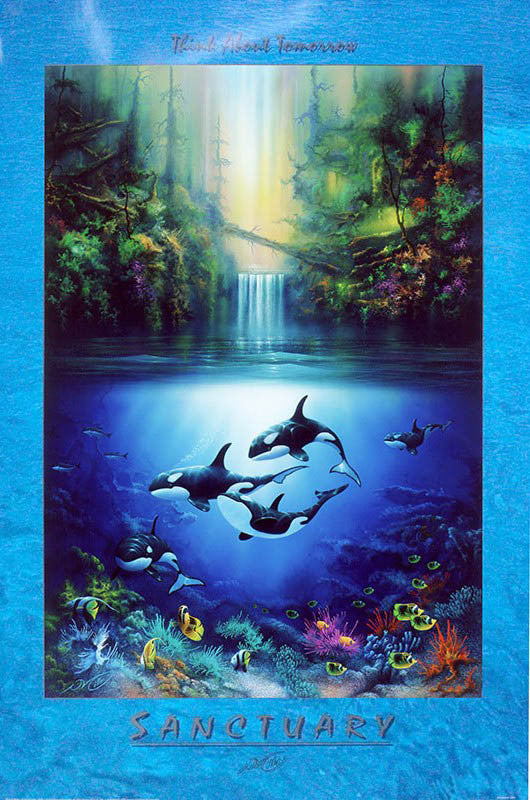 "Sanctuary" Orca (Killer Whale) Poster - 24" x 36"