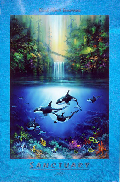 "Sanctuary" Orca (Killer Whale) Poster - 24" x 36"