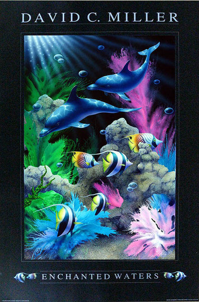 "Enchanted Waters" Dolphin Poster - 24" x 36"